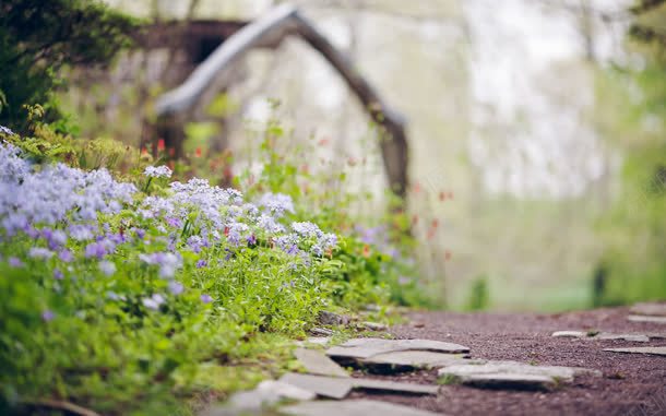 紫色小花乡间小路jpg设计背景_新图网 https://ixintu.com 乡间 小路 紫色