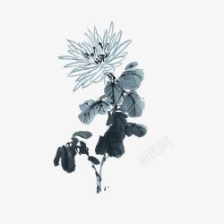 中国画花卉素材