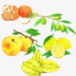 小树种类合集水果彩绘各种种类合集高清图片
