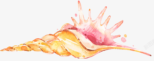海螺原画图片