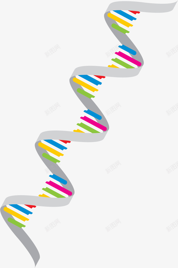 灰色双螺旋DNApng免抠素材_新图网 https://ixintu.com DNA DNA分子 DNA双螺旋结构图片 卡通DNA 卡通风格 灰色 矢量DNA