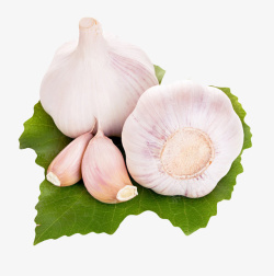大蒜蒜头图片白色健康佐料放在叶子上的大蒜头高清图片