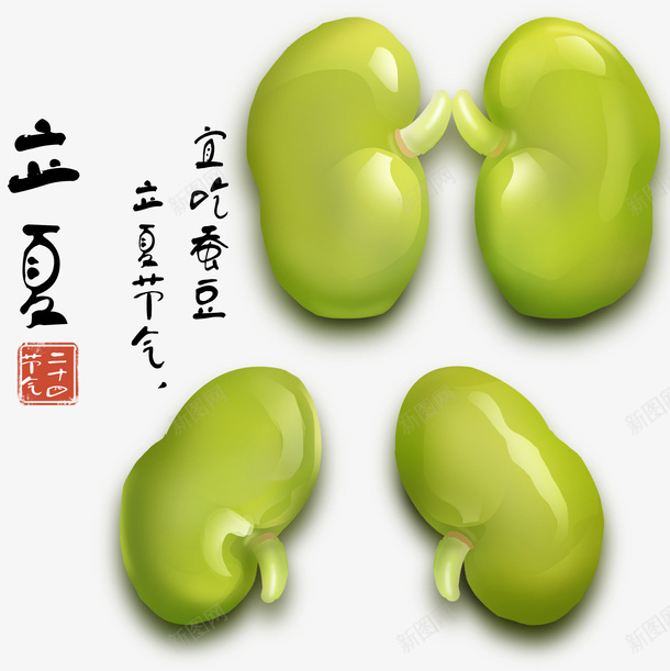 立夏蚕豆插画元素png免抠素材_新图网 https://ixintu.com 二十四节气 手绘插画 立夏 立夏节气 节气 蚕豆