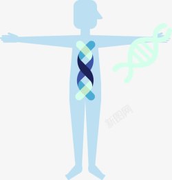 人体基因蓝色简约人体基因链高清图片