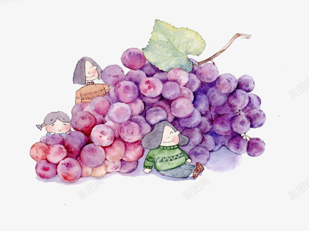 巨大的葡萄png免抠素材_新图网 https://ixintu.com 小女孩 手绘 紫色 绿叶 葡萄