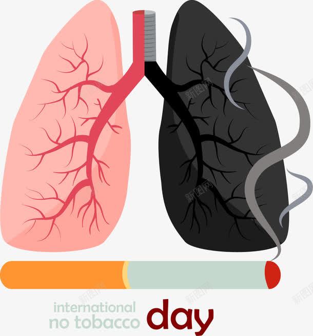 吸烟有害健康png免抠素材_新图网 https://ixintu.com 吸烟后的肺部对比图 损害健康 矢量素材 矢量肺部 香烟 黑肺