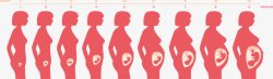 女性怀孕孕期图素材