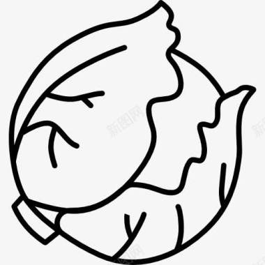 大白菜图标图标