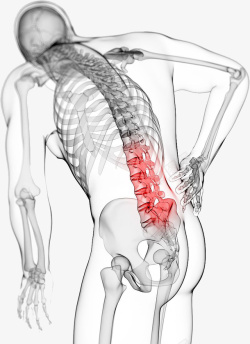 对人男性的背部脊椎图高清图片