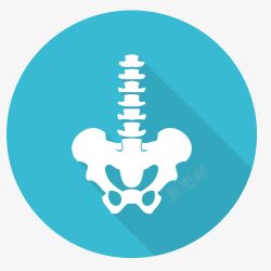 人体嵴椎穴位人体器官图标高清图片