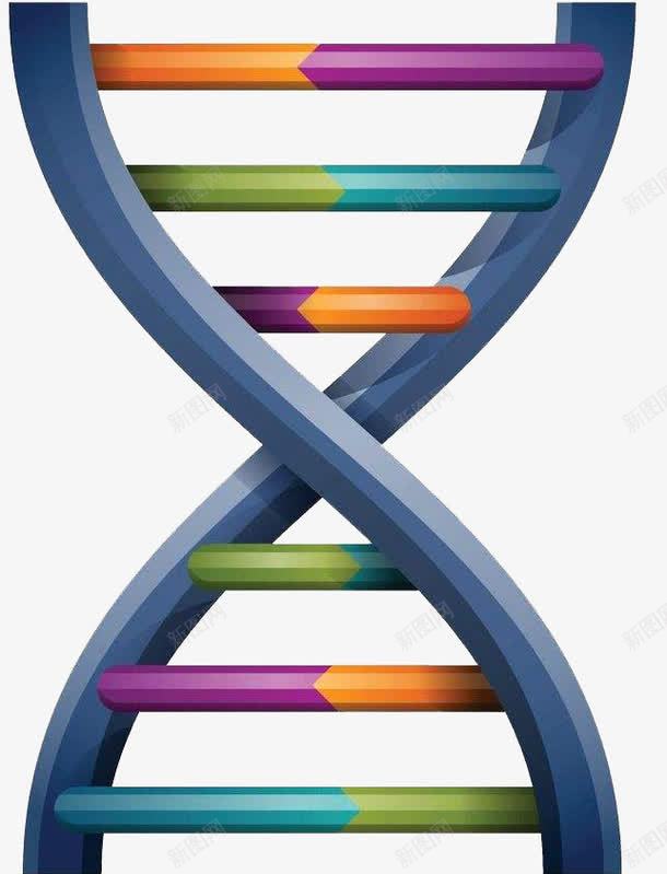 简约DNA基因链图形png免抠素材_新图网 https://ixintu.com DNA双螺旋 医疗 可爱 基因 实验 科研 遗传