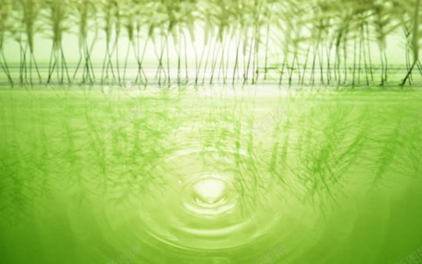 绿色水潭竹林海报背景背景