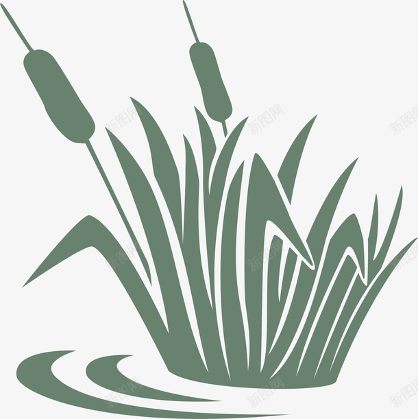 水彩卡通芦苇png免抠素材_新图网 https://ixintu.com 创意 卡通 手绘 植物 水彩 芦苇 设计