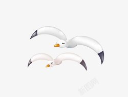 两只海鸥卡通海鸥高清图片
