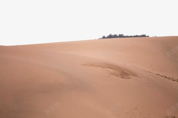 沙漠背景装饰png免抠素材_新图网 https://ixintu.com 地面 沙尘 沙漠 灰尘 背景装饰