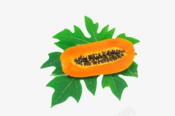味涩红色营养压着叶子的熟木瓜实物高清图片