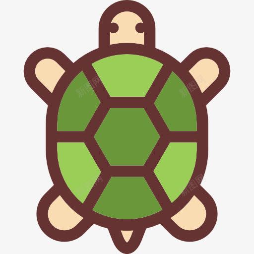 乌龟图标png_新图网 https://ixintu.com Tortoise 两栖动物 动物 宠物 爬行动物