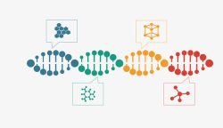 创意DNA螺旋体素材