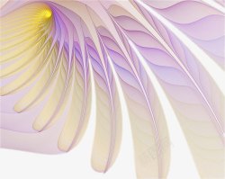 线型翅膀流线型紫色羽毛高清图片