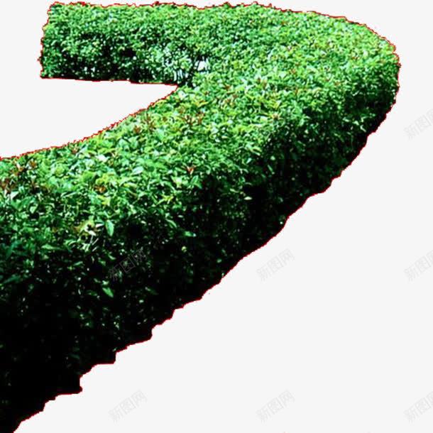 灌木丛林png免抠素材_新图网 https://ixintu.com 修剪 净化环境 平面 平面灌木 景观灌木丛 灌木园艺 绿化带 美化环境