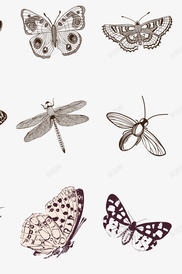 手绘小动物png免抠素材_新图网 https://ixintu.com 会飞的动物 动物 小动物 手绘小动物 蜻蜓 蝴蝶