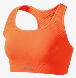 透气排汗运动短袖T恤透气吸湿排汗跑步健身运动文胸高清图片