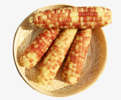 新鲜玉米棒新鲜煮熟的玉米棒高清图片