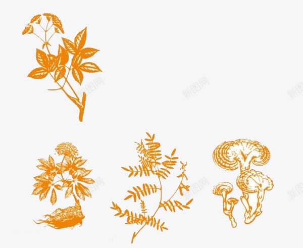 手绘植物png图片免费下载 素材7qsukwqaj 新图网 手绘植物png图片免费下载 素材7qsukwqaj 新图网