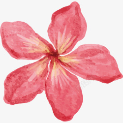 红花花蕊五瓣花型素材