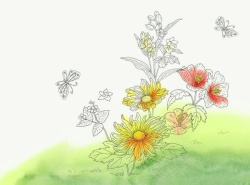 彩纹水彩菊花案高清图片