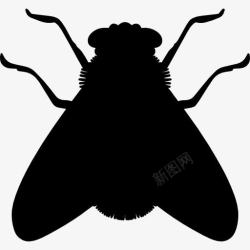 昆虫轮廓粉的形状图标高清图片