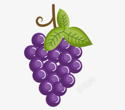手绘葡萄素材卡通手绘紫色的葡萄高清图片
