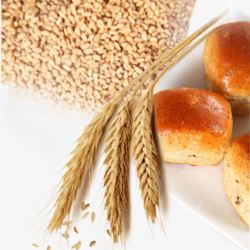 小麦麦片面包爱情素材