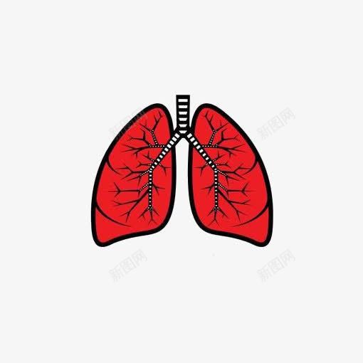 红色肺部png免抠素材_新图网 https://ixintu.com 吸烟 吸烟者的肺 器官 抽烟 肺免扣PNG 肺子 肺癌 肺部