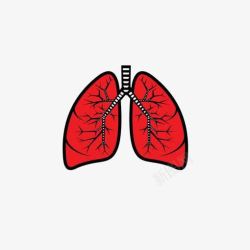 吸烟肺癌红色肺部高清图片