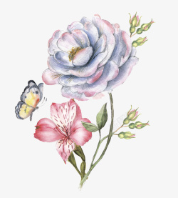 粉色粉嫩盆子手绘彩铅花朵蝴蝶高清图片