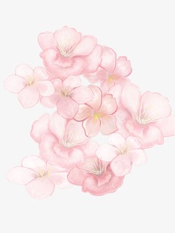 好看的樱花手绘樱花高清图片