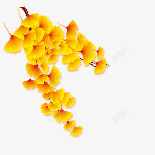 秋季叶子png免抠素材_新图网 https://ixintu.com 卡通 图案 手绘 桔梗 简图 纹理 银杏叶 黄色