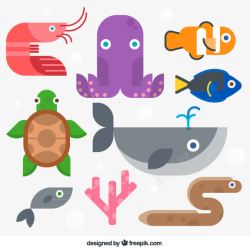 海龟的动物王国8款海洋动物矢量图高清图片