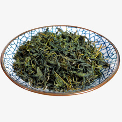 翠绿茶叶实物小叶苦丁高清图片