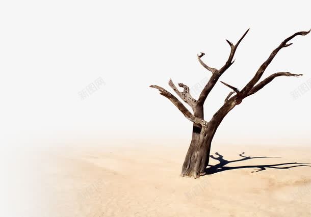 沙漠上的干枯树干团队png免抠素材_新图网 https://ixintu.com 团队 干枯 干枯的 干枯的草地图片 树干 沙漠