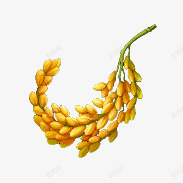 金色水稻图标png_新图网 https://ixintu.com 图示 大米 插图 标识 水稻 稻子 粮食 装饰图案