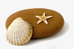 石头星星鹅蛋石头和贝壳高清图片