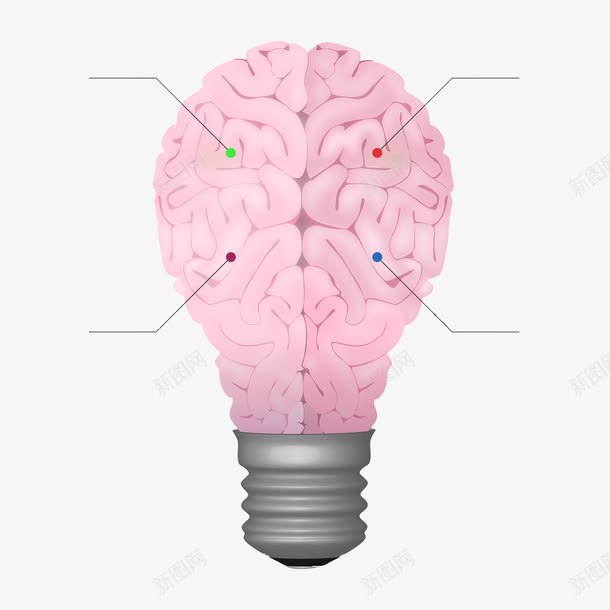 灯泡形状的脑子构造png免抠素材_新图网 https://ixintu.com 创意 粉色 脑子 设计