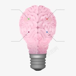 灯泡形状的脑子构造素材
