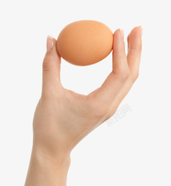 蓓蕾初开褐色鸡蛋手捏着的初生蛋实物高清图片