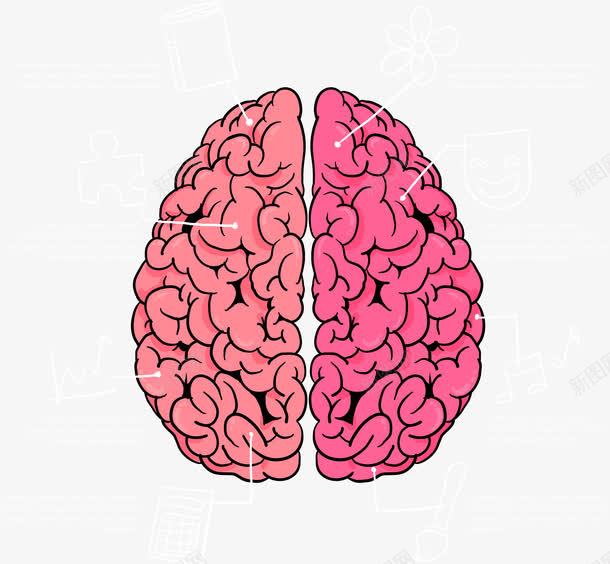 粉色大脑各部分功能png免抠素材_新图网 https://ixintu.com 人脑 创造力 卡通 大脑 头脑 头部 思维导图 想象力 最强大脑 粉色 脑浆 脑神经