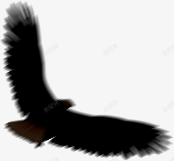 一只模糊的黑色乌鸦png免抠素材_新图网 https://ixintu.com 乌鸦 乌鸦图案 乌鸦飞过 模糊 黑色