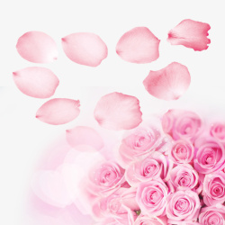 戒指与玫瑰瓣粉色玫瑰花高清图片
