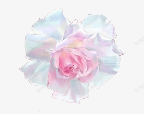 美丽的白玫瑰png免抠素材_新图网 https://ixintu.com 妖艳 手绘 爱情 白玫瑰 白玫瑰手绘 白色 绿色 美丽 高洁